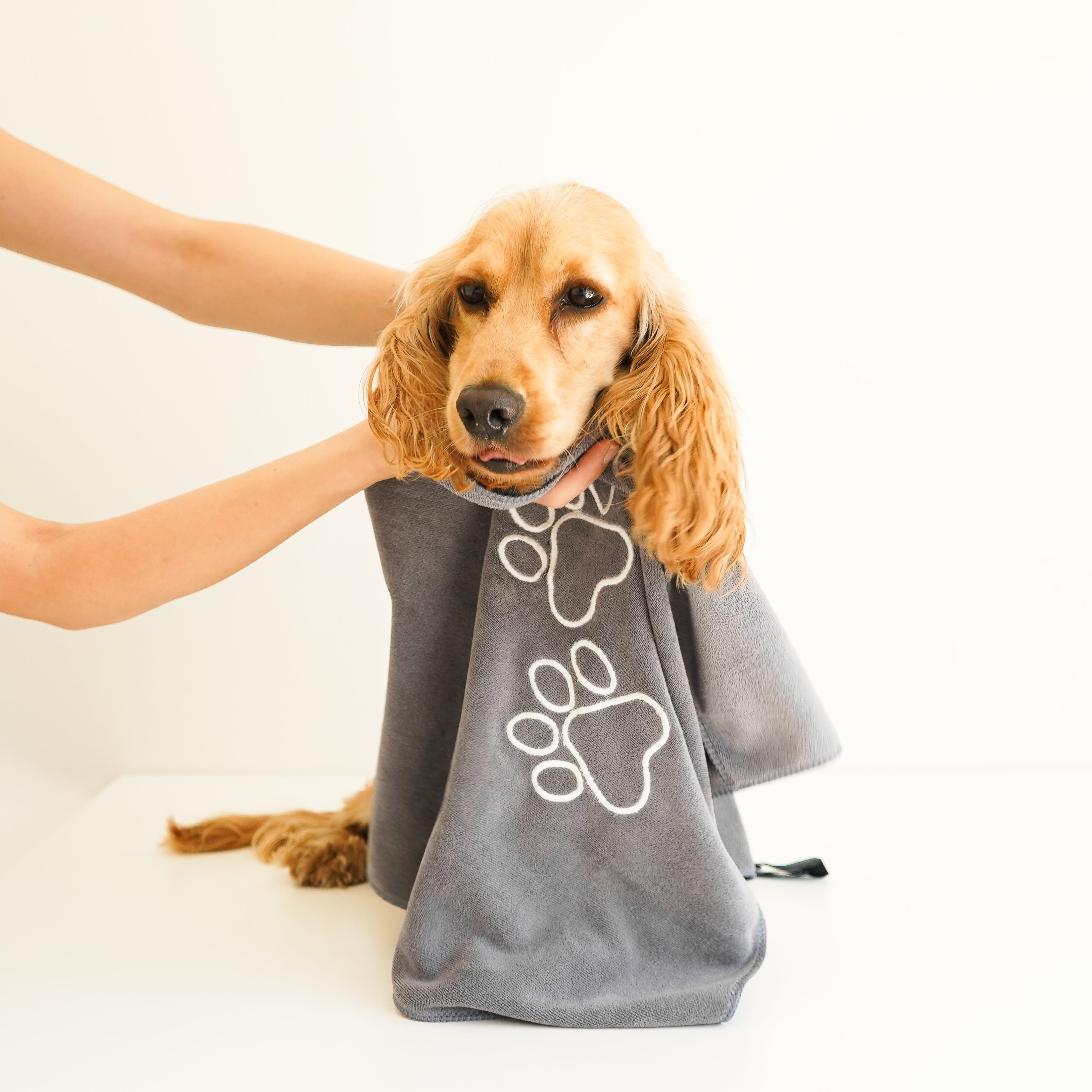 Unconditional Love | Premium Pet Towel (Grey)