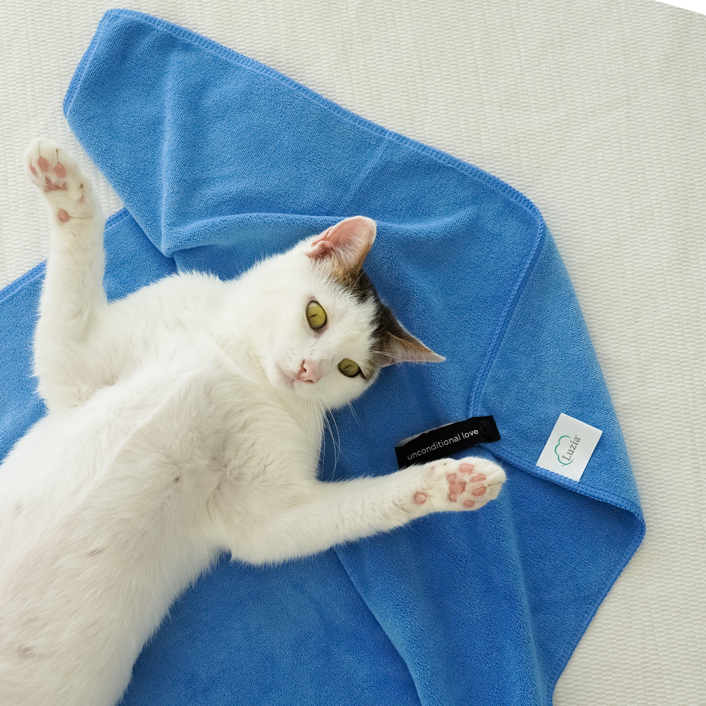 Unconditional Love | Premium Pet Towel (Blue)-Luzia