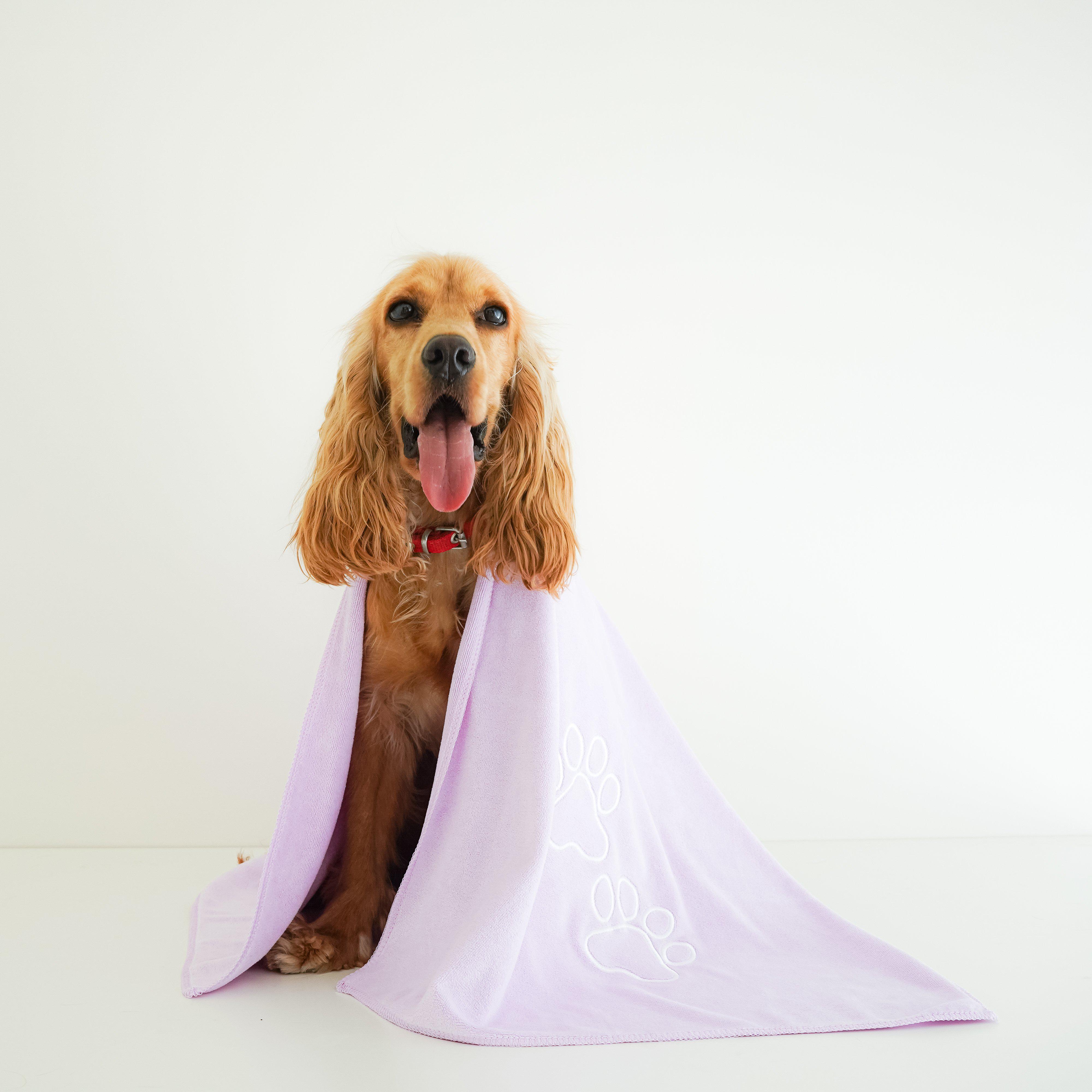 Unconditional Love | Premium Pet Towel (Lilac)-Luzia