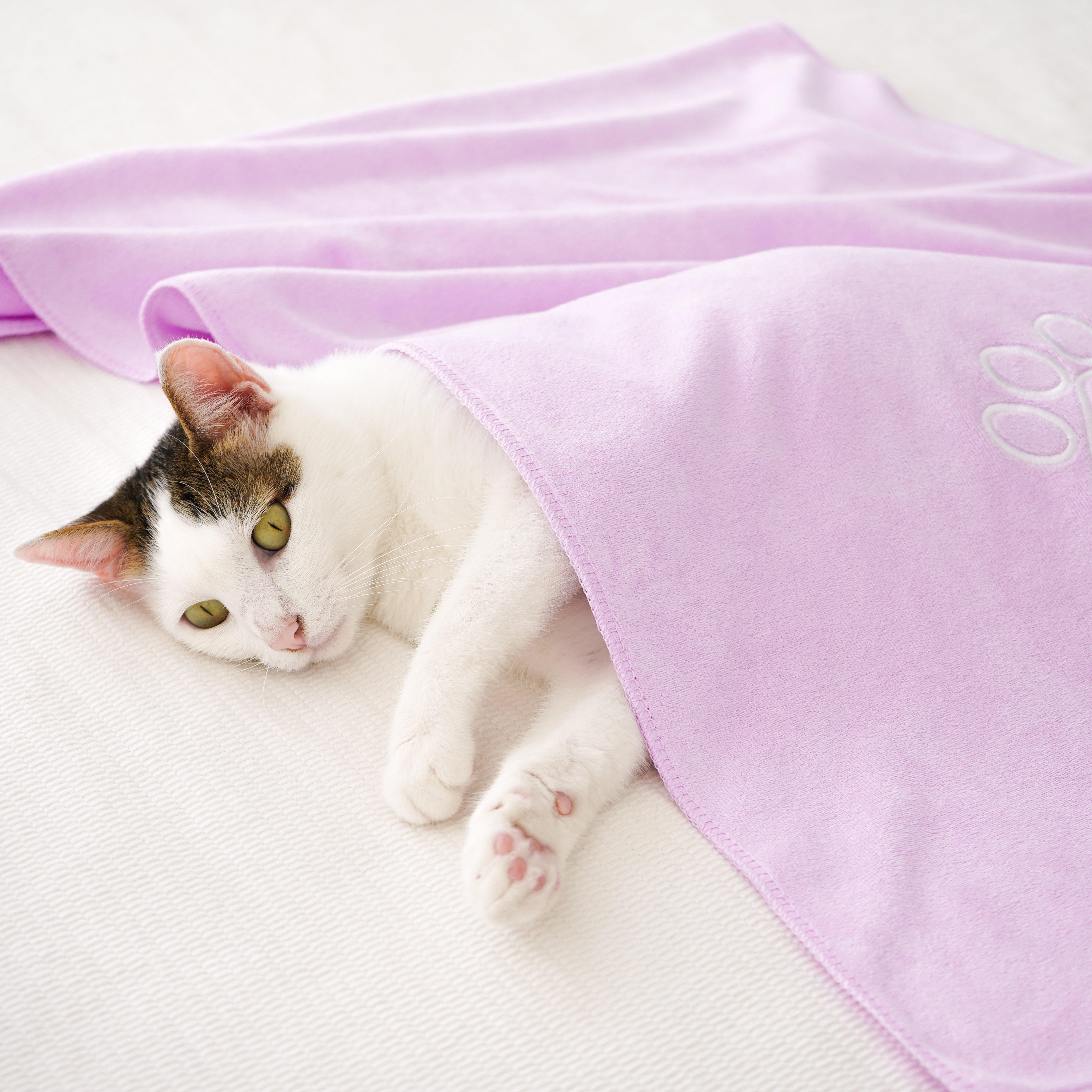 Unconditional Love | Premium Pet Towel (Lilac)-Luzia